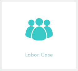 Labor Case